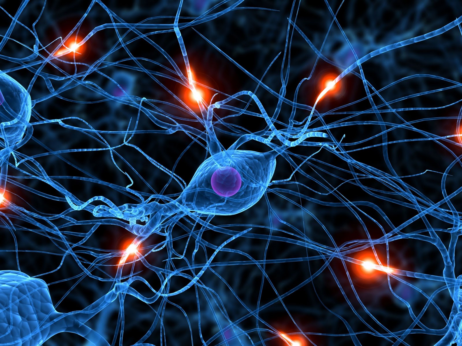 Brain-Synapse-Wallpaper